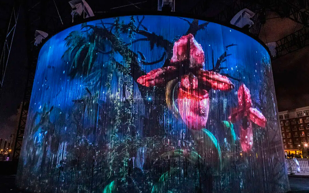 Exposición de arte inmersivo hortensia herrero